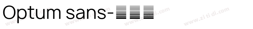 Optum sans字体转换